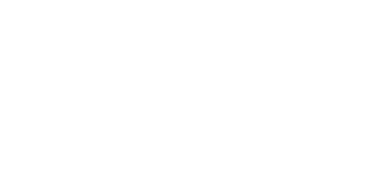 Seguridad 360